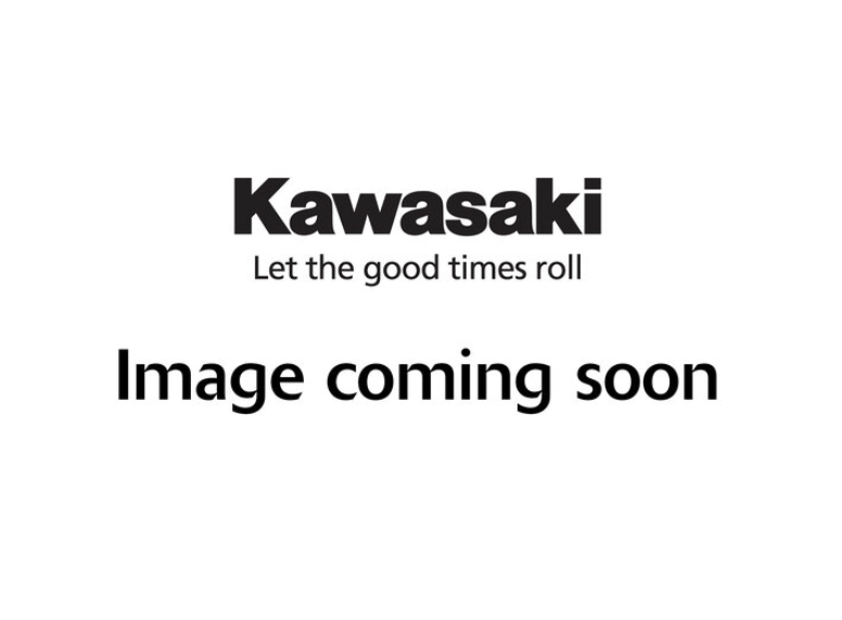 Kawasaki Tag Sleutelhanger