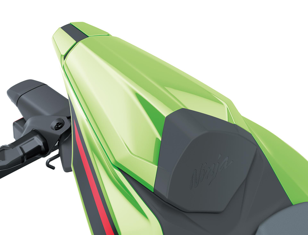 Buddyseat Cover (Ninja ZX-4R)