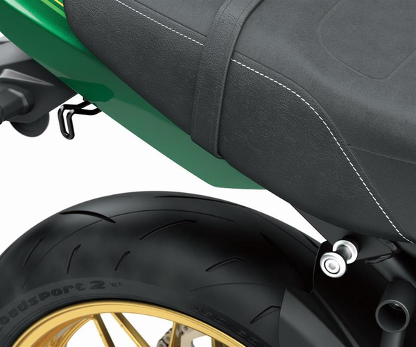 Bagage Bevestigingshaken (Z650RS)