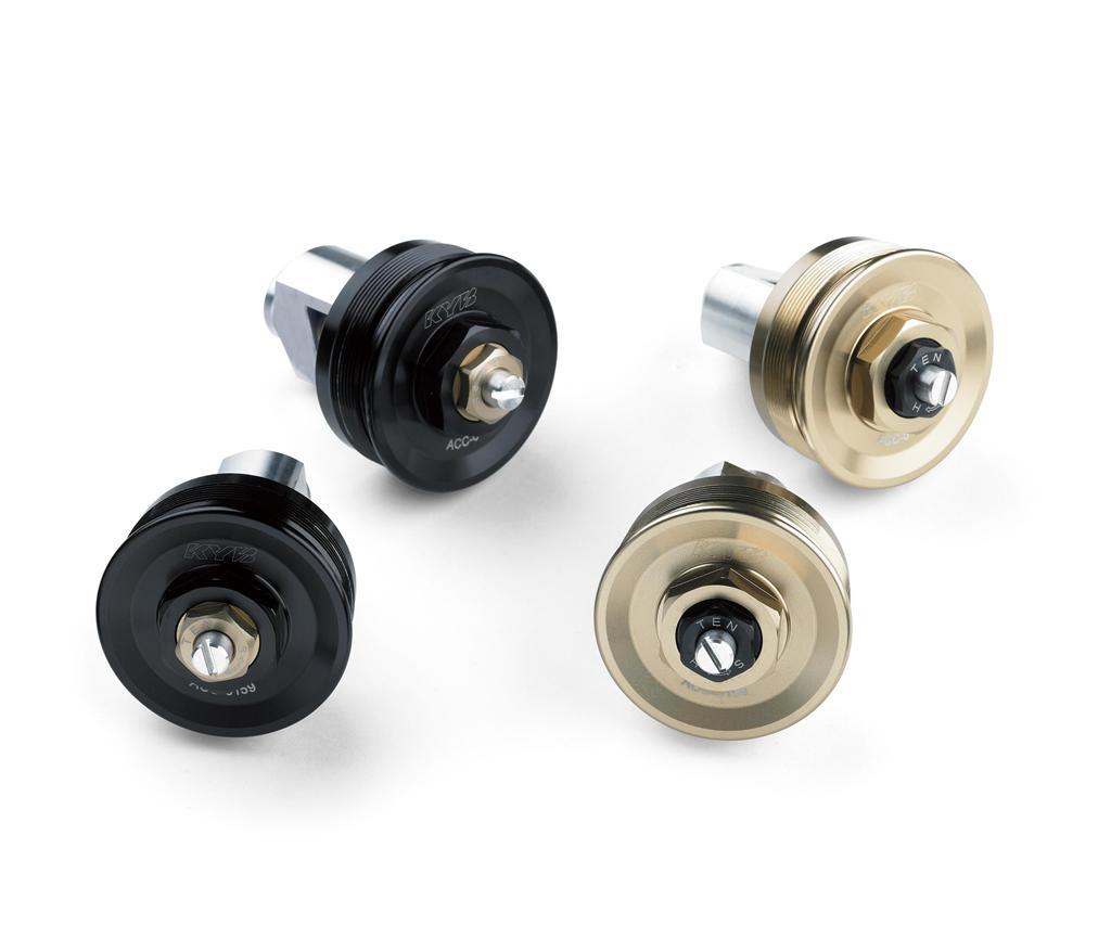 Voorvork Caps (Z900RS)