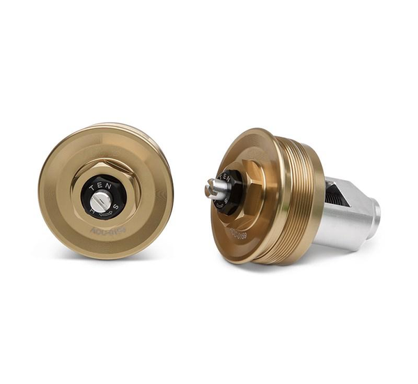 Voorvork Caps (Z900RS)