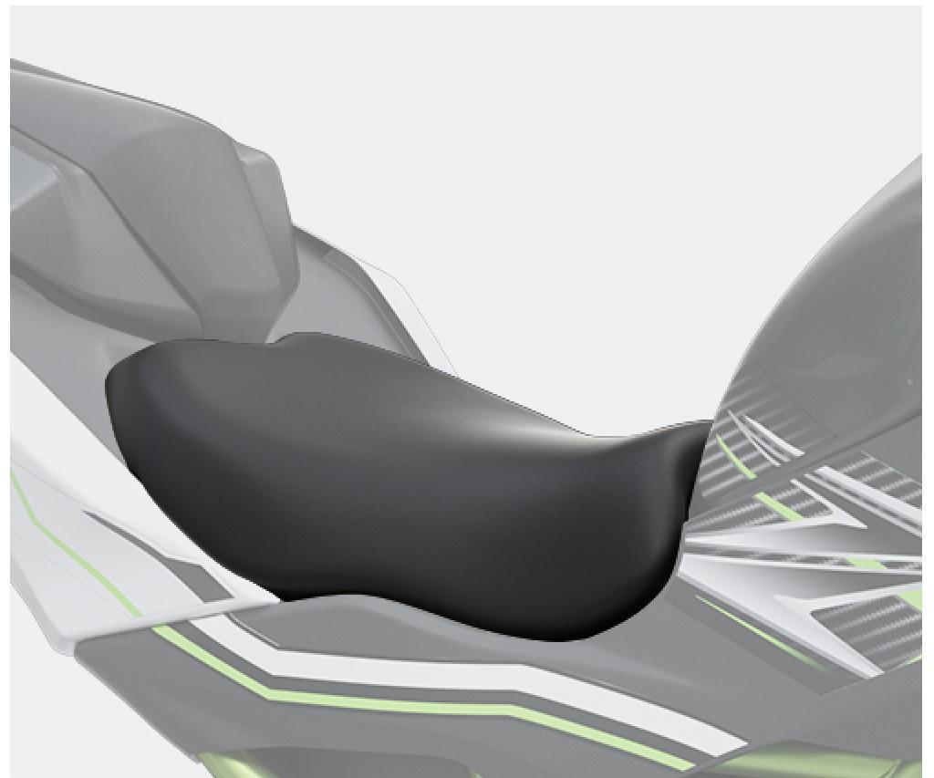 Verlaagd Zadel (Z125)