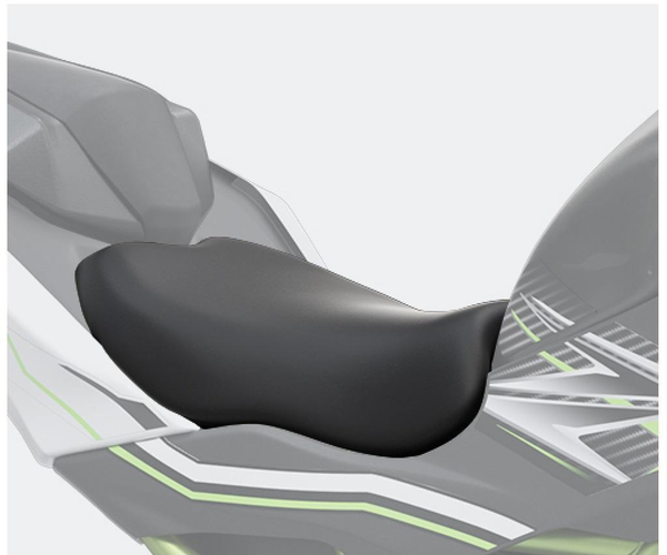 Verlaagd Zadel (Z125)