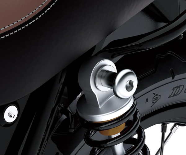 Bagage Bevestigingshaken Set (W800)