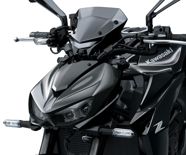 Windscherm Smoke (Z1100)