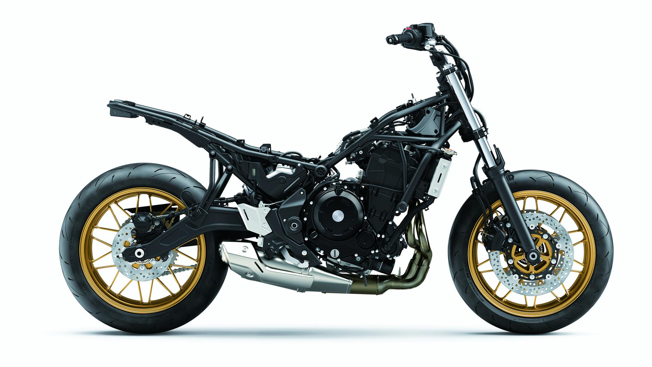 Lichtgewicht Trellis Frame