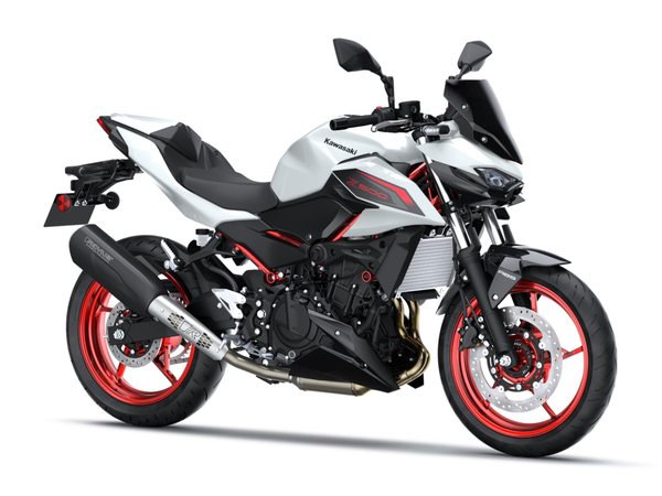 Z500 SE Performance Remus